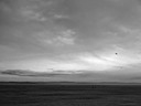 Mare D'Inverno 2010