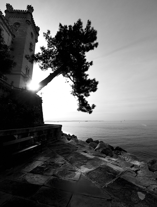 attachment-7