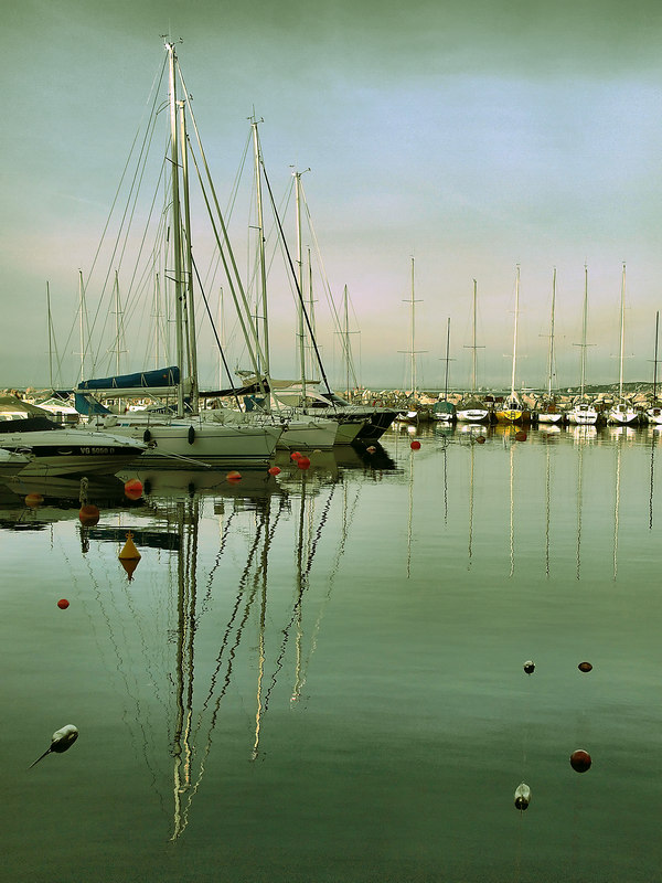 PC053155_