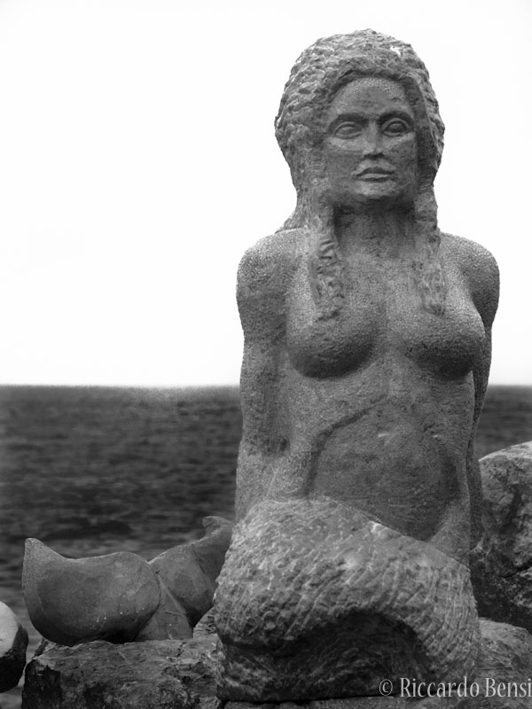 sirenabn
